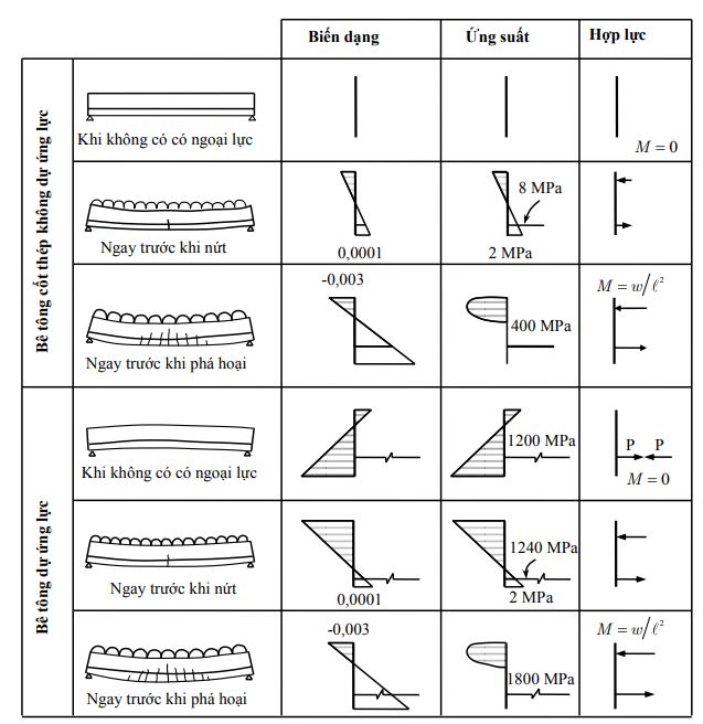 Ứng xử của dầm bê tông dự ứng lực và không dự ứng lực